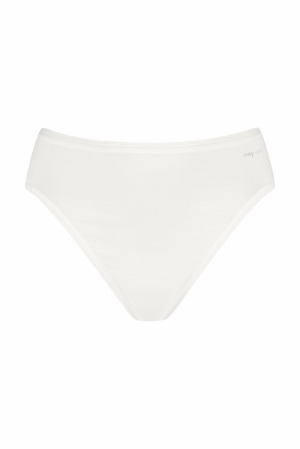  20 Ivory