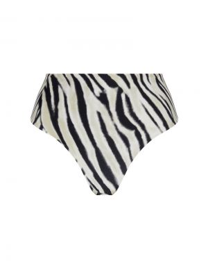  Tigre bronze