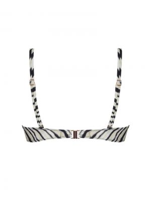  tigre bronze